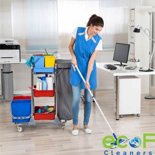 apartment cleaners Surrey BC